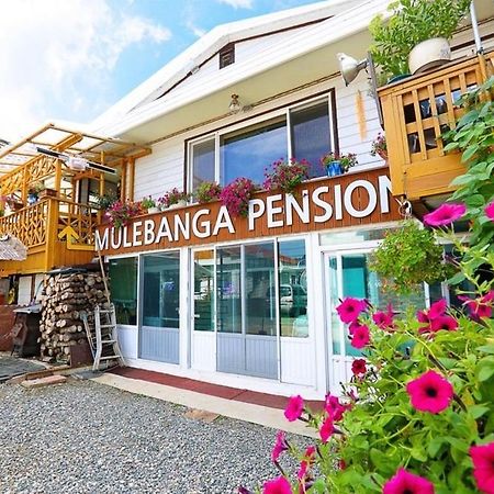 Osakae Anteo Mulraebang-A Pension ヤンヤン エクステリア 写真